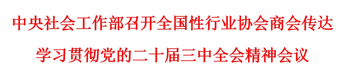 中央社会工作部召开全国性行业协会商会传达学习贯彻党的二十届三中全会精神会议